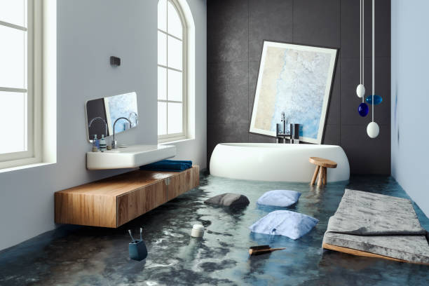 Best Local water damage restoration  in Shawneetown, IL