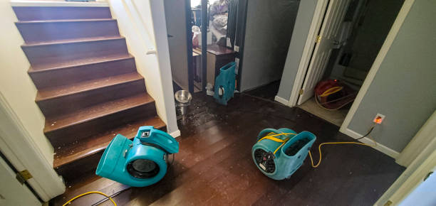 Best Professional water damage repair  in Shawneetown, IL