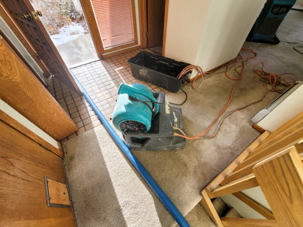 Best Professional water damage repair  in Shawneetown, IL