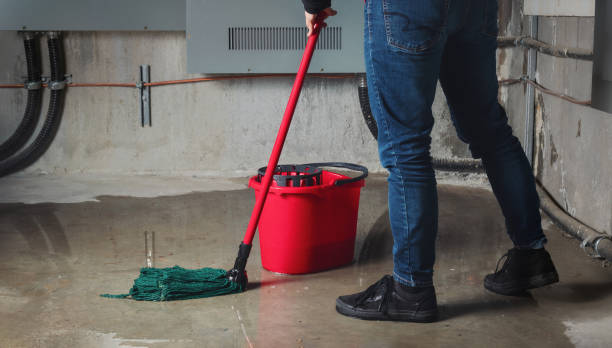 Best Water damage restoration specialists  in Shawneetown, IL