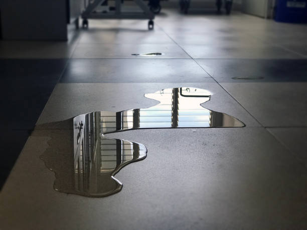 Best Professional water damage repair  in Shawneetown, IL