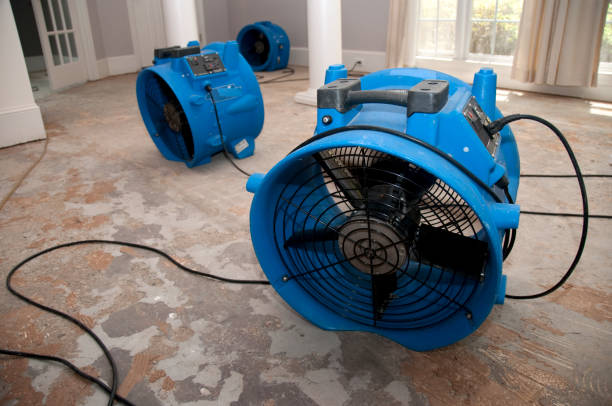 Best Water damage restoration process  in Shawneetown, IL