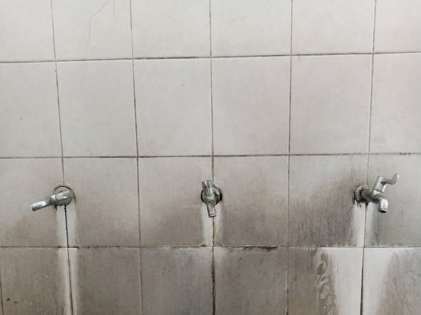 Best Flood restoration services  in Shawneetown, IL