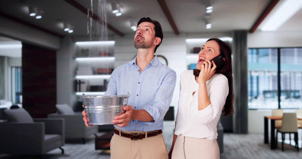 Best Water damage restoration near me  in Shawneetown, IL