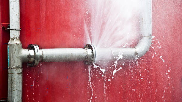 Best 24-hour water damage restoration  in Shawneetown, IL